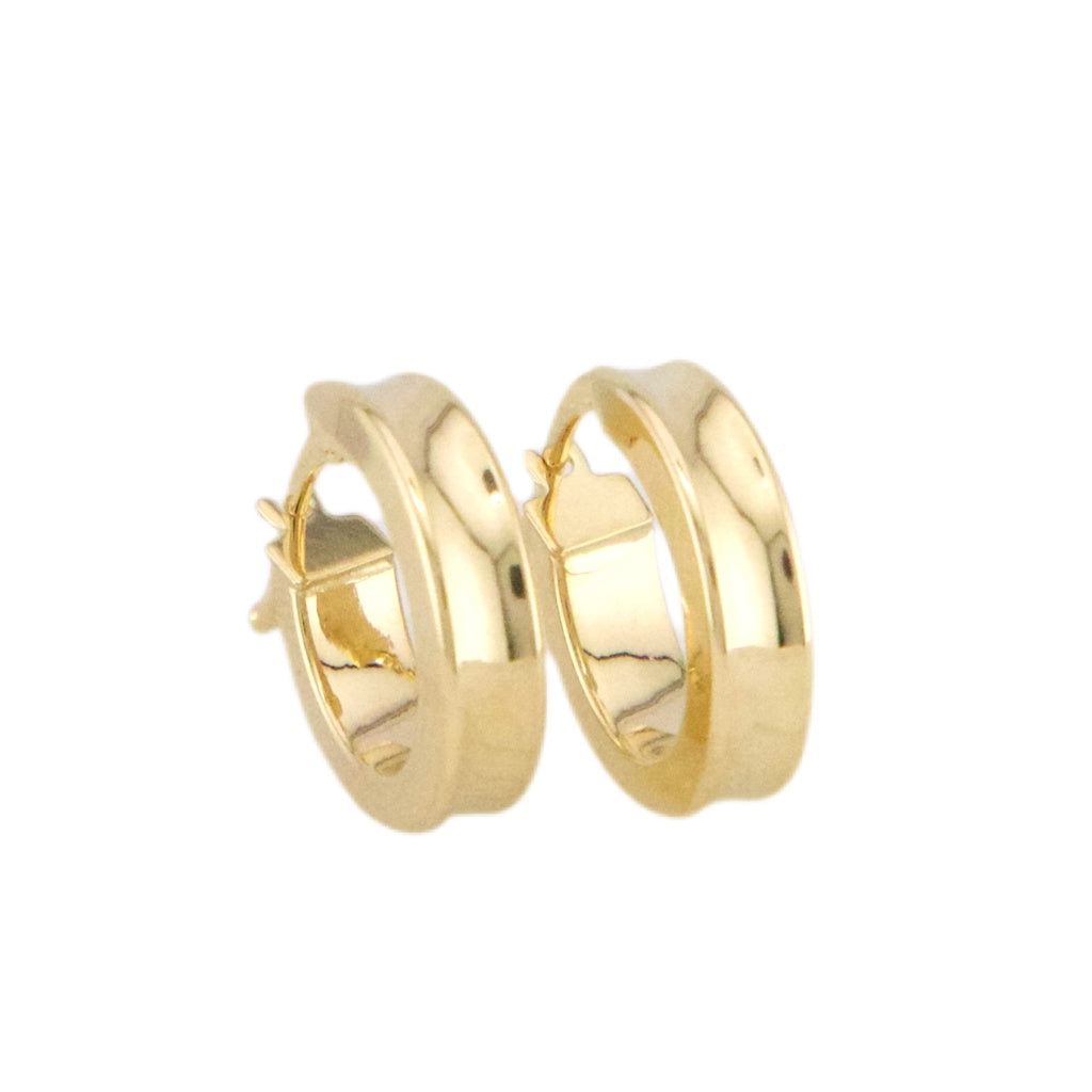 Plain Hoops Earrings