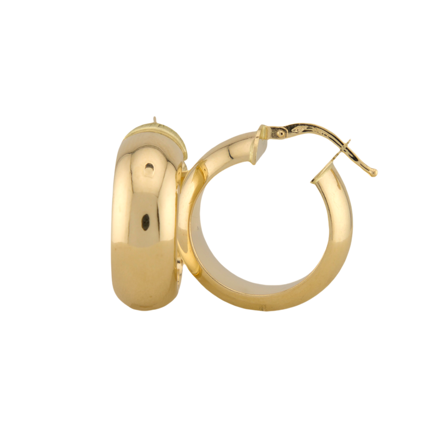 Plain Hoops Earrings