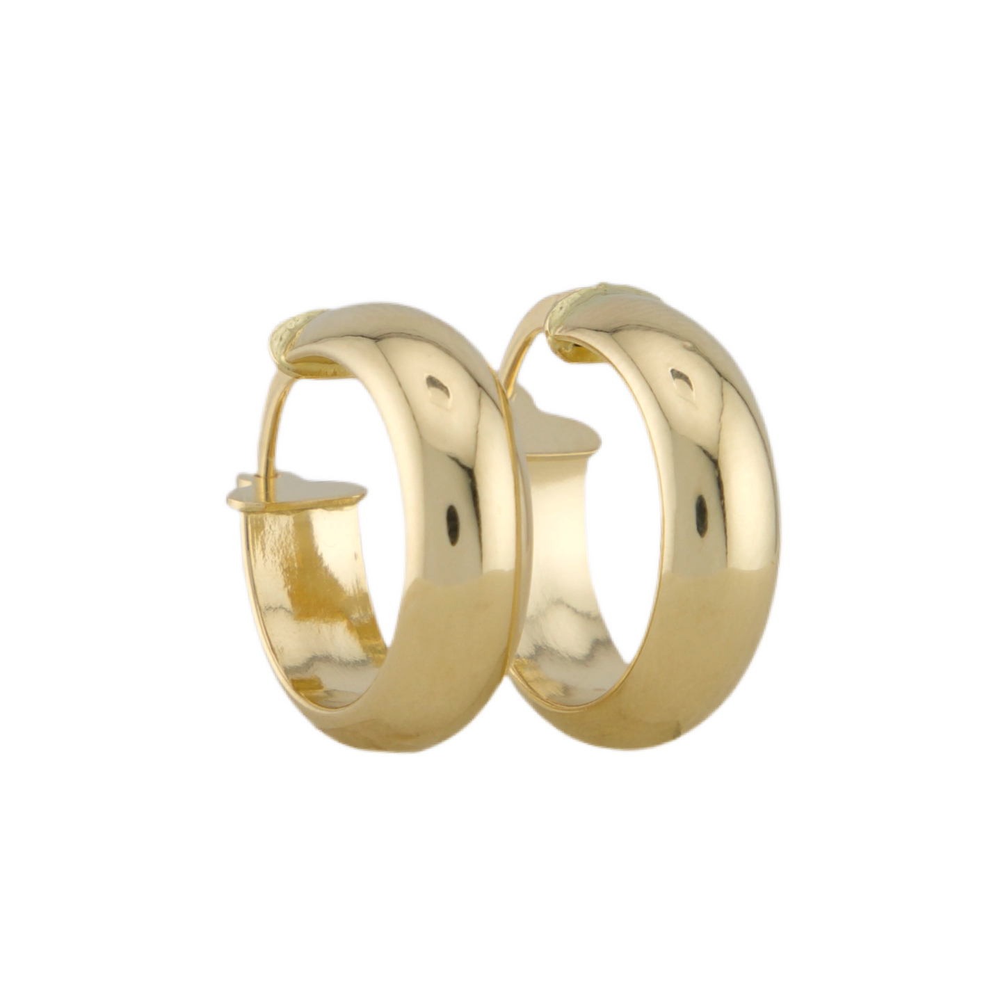 Plain Hoops Earrings