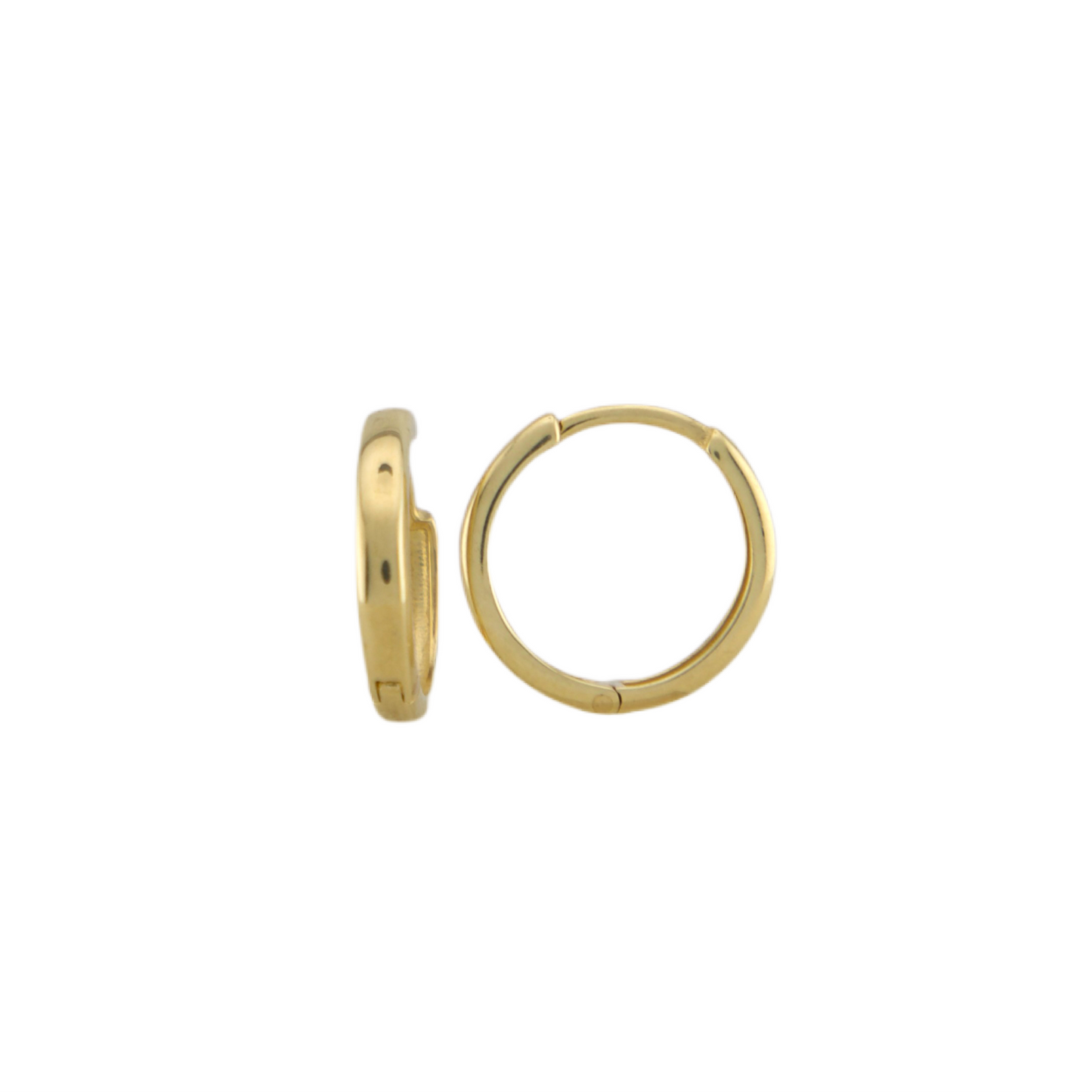 Plain Hoops Earrings