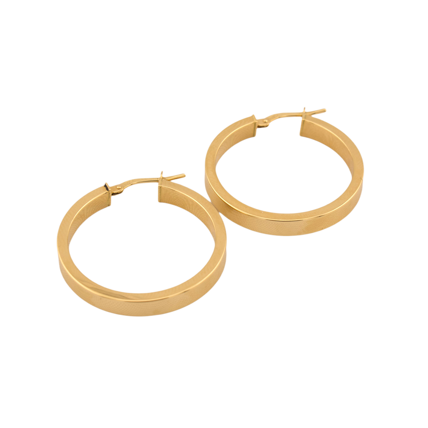 Fancy Hoop Earrings
