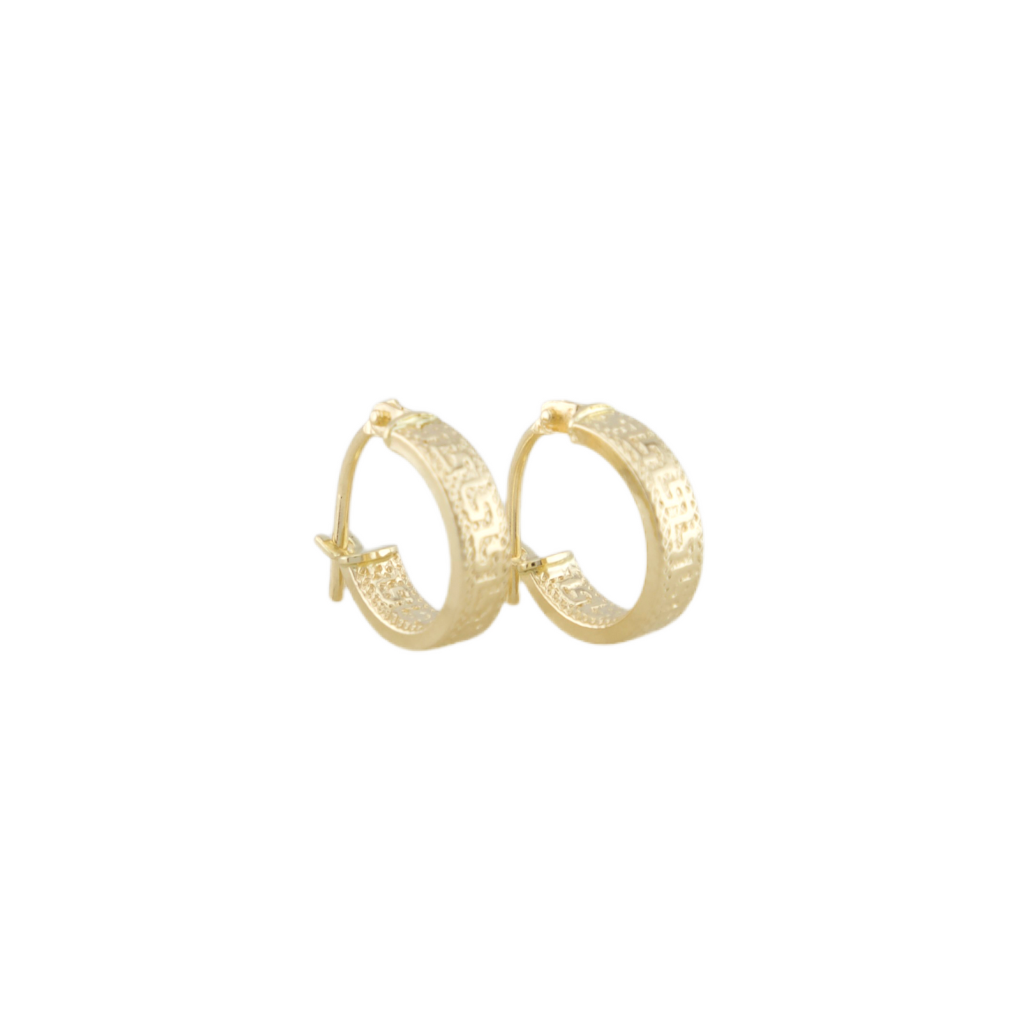 Fancy Hoops Earrings