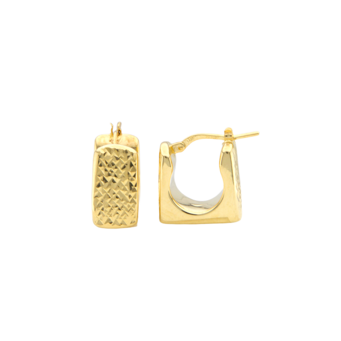 Ultra Fancy Hoops Earrings