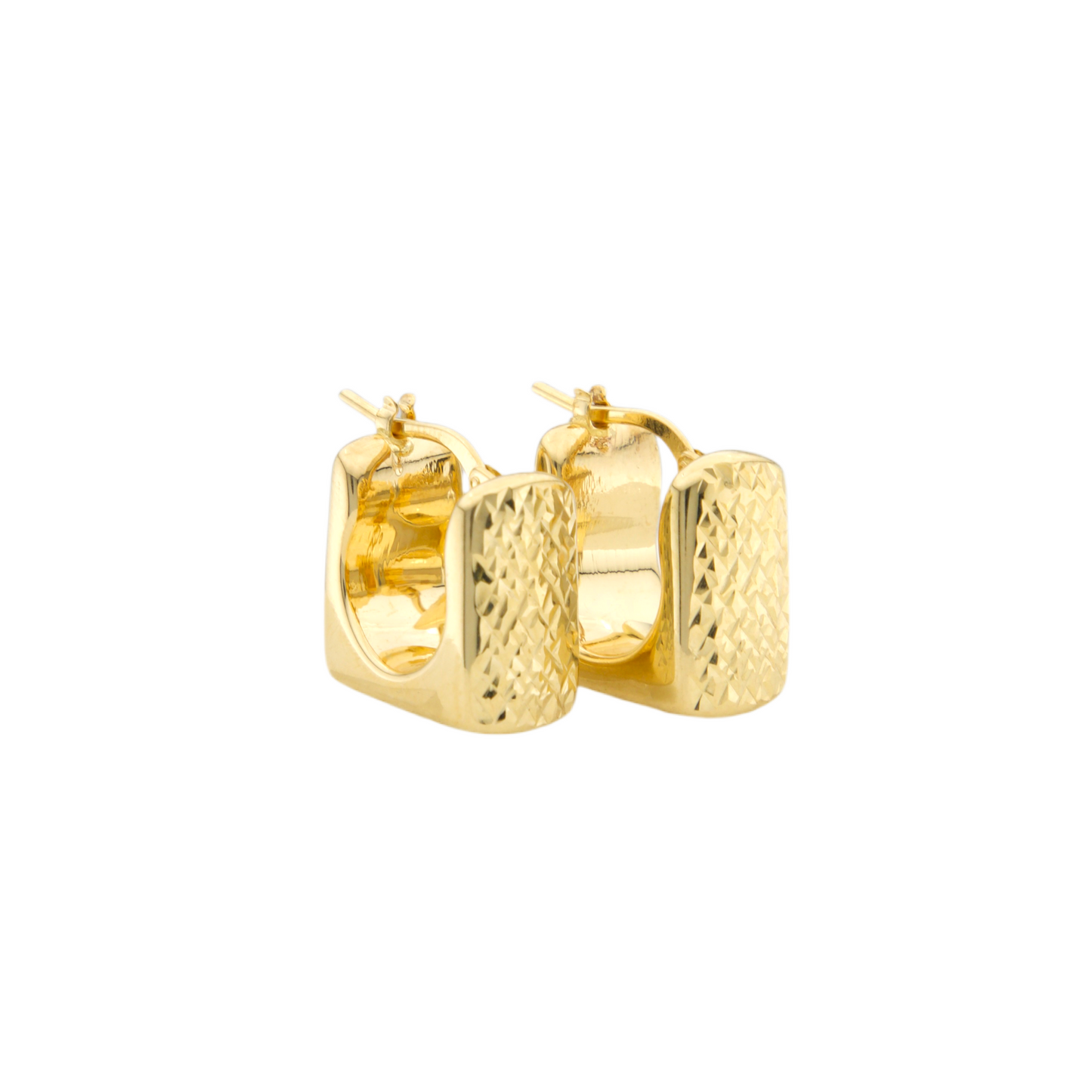 Ultra Fancy Hoops Earrings