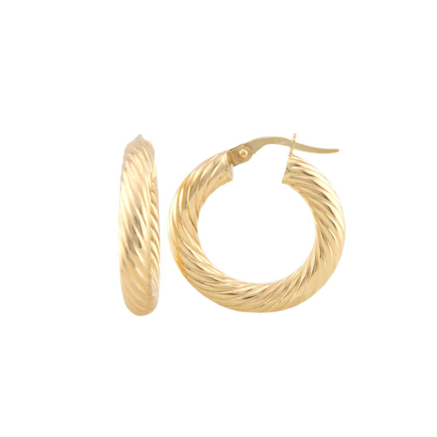 Twisted Hoops Earrings