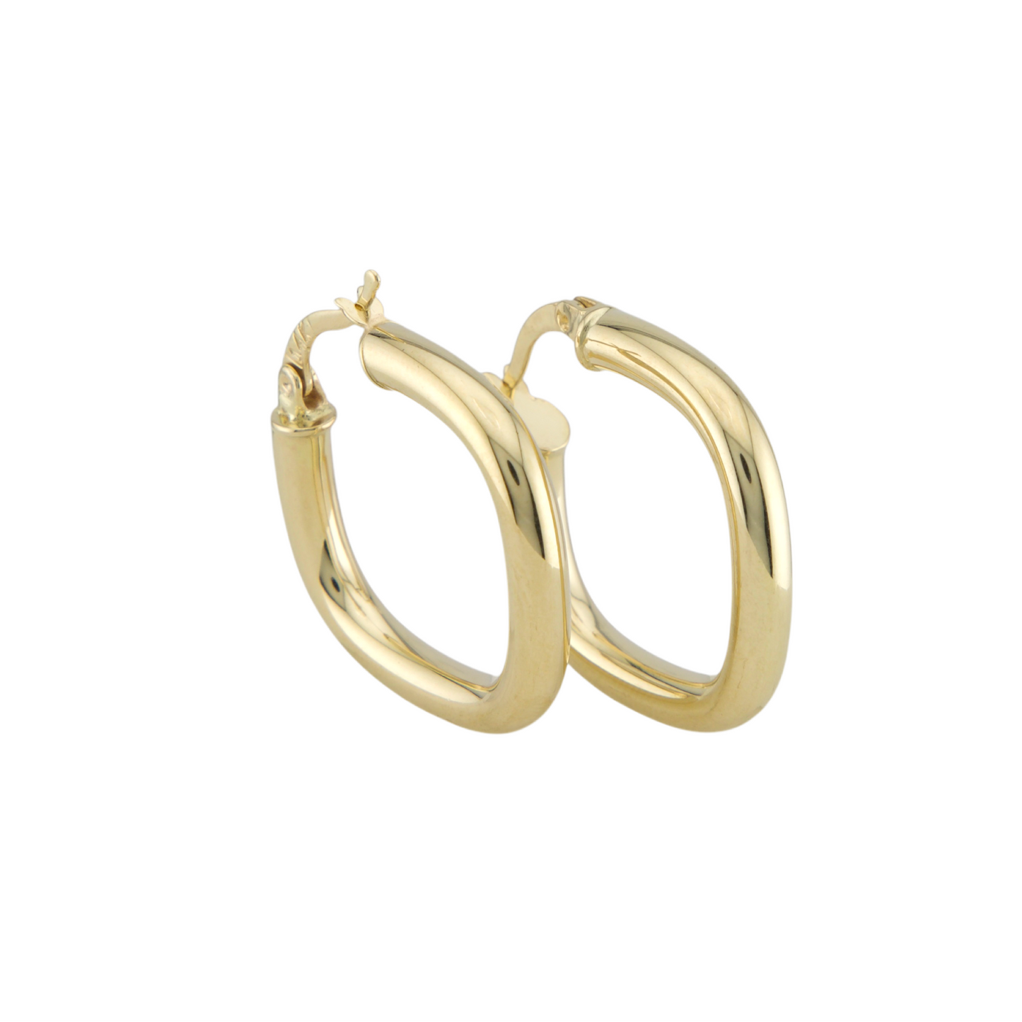 Fancy Hoops Earrings