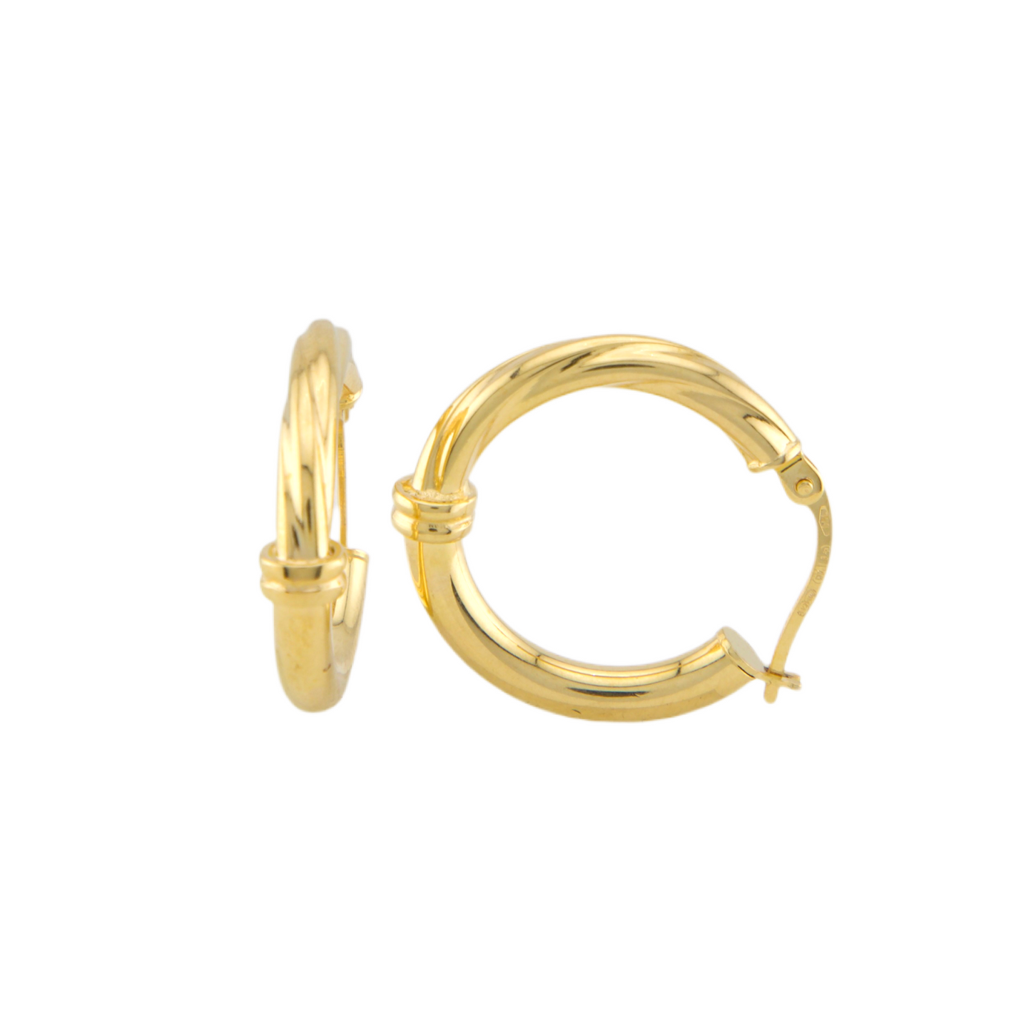 Fancy Hoops Earrings