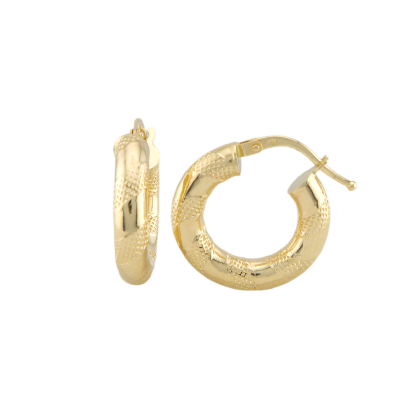 Fancy Hoops Earrings