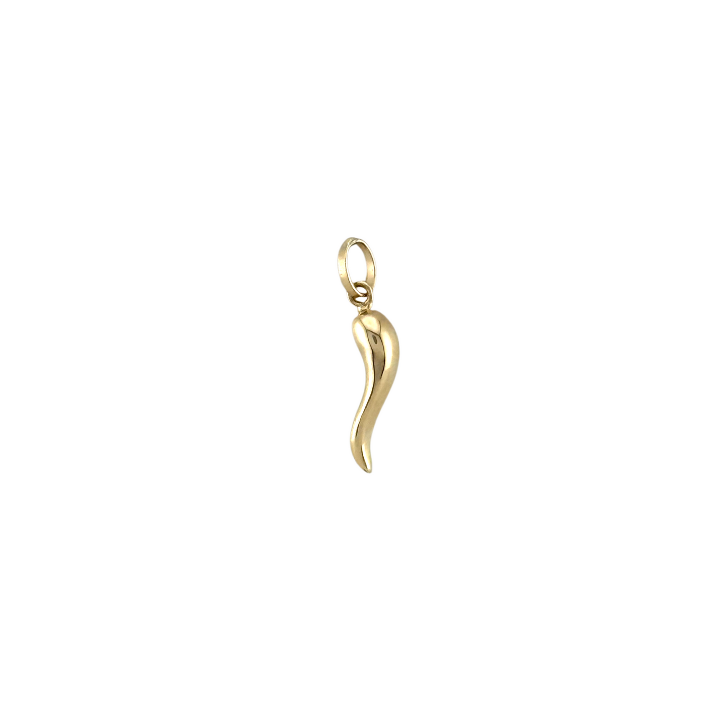 Gold Horn Pendant