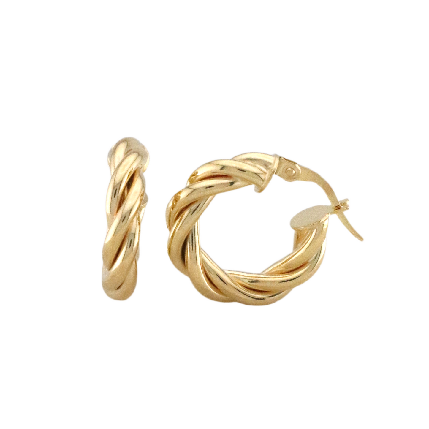 Twisted Hoops Earrings