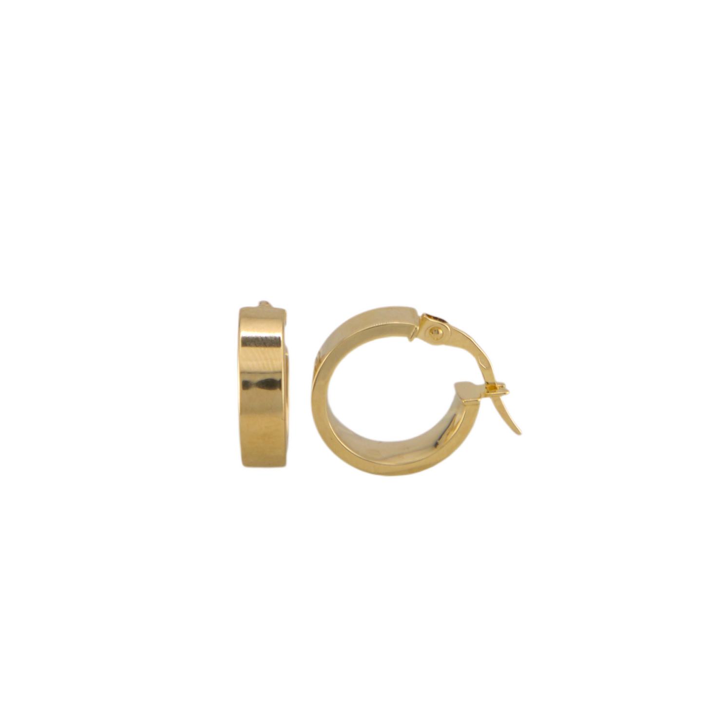 Plain Hoops Earrings