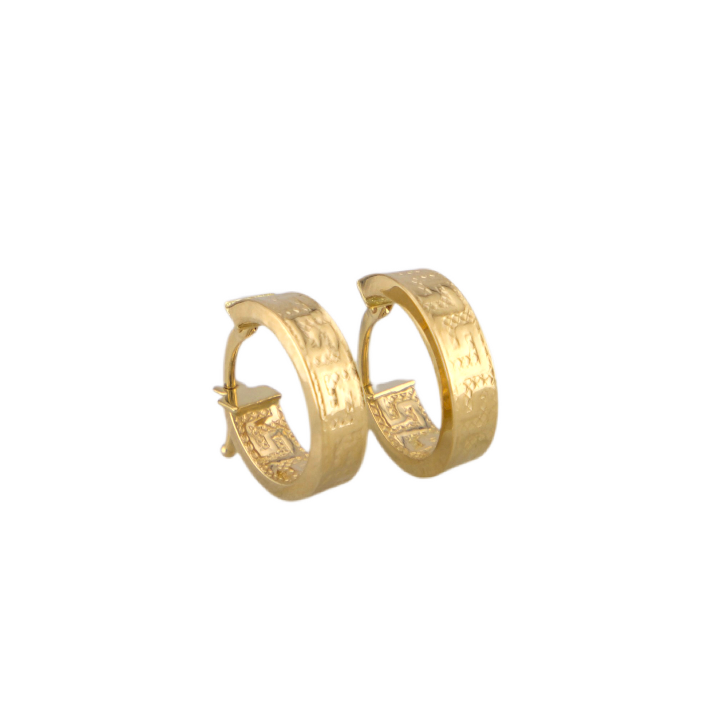 Fancy Hoops Earrings
