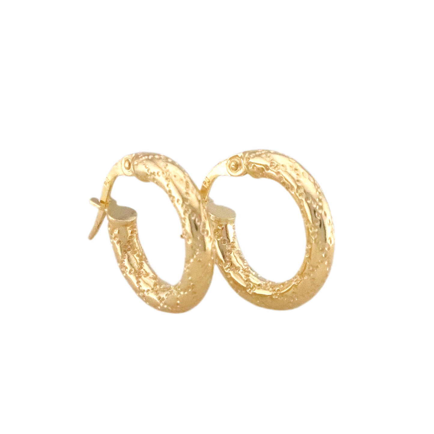 Fancy Hoops Earrings