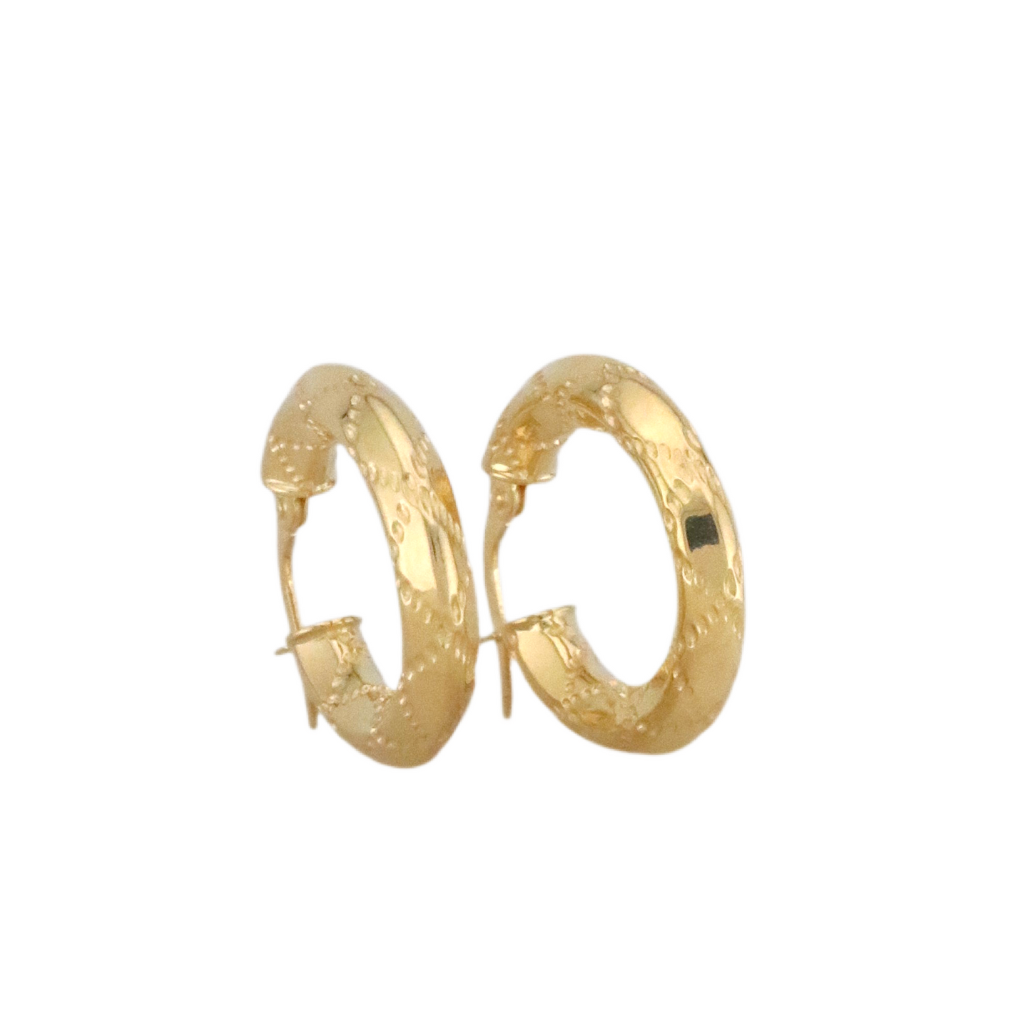 Fancy Hoops Earrings