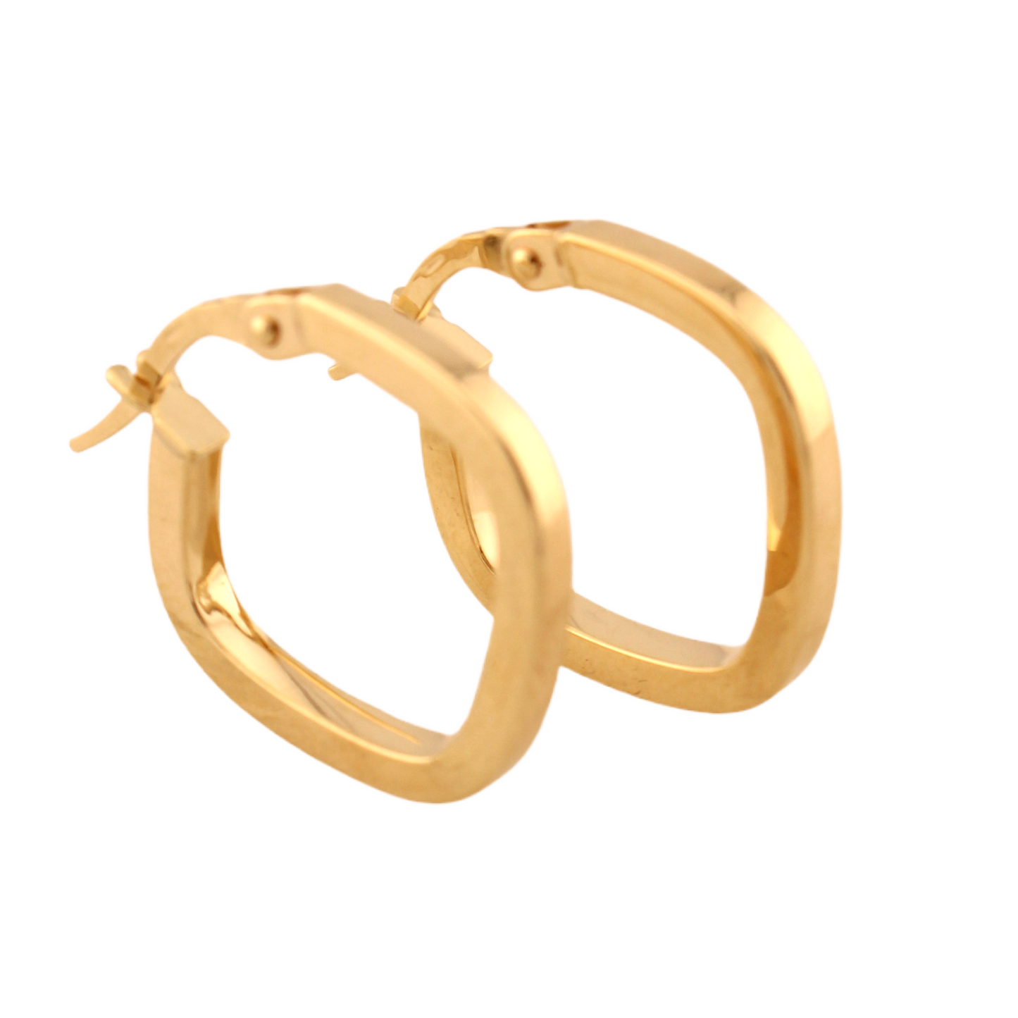 Fancy Hoops Earrings