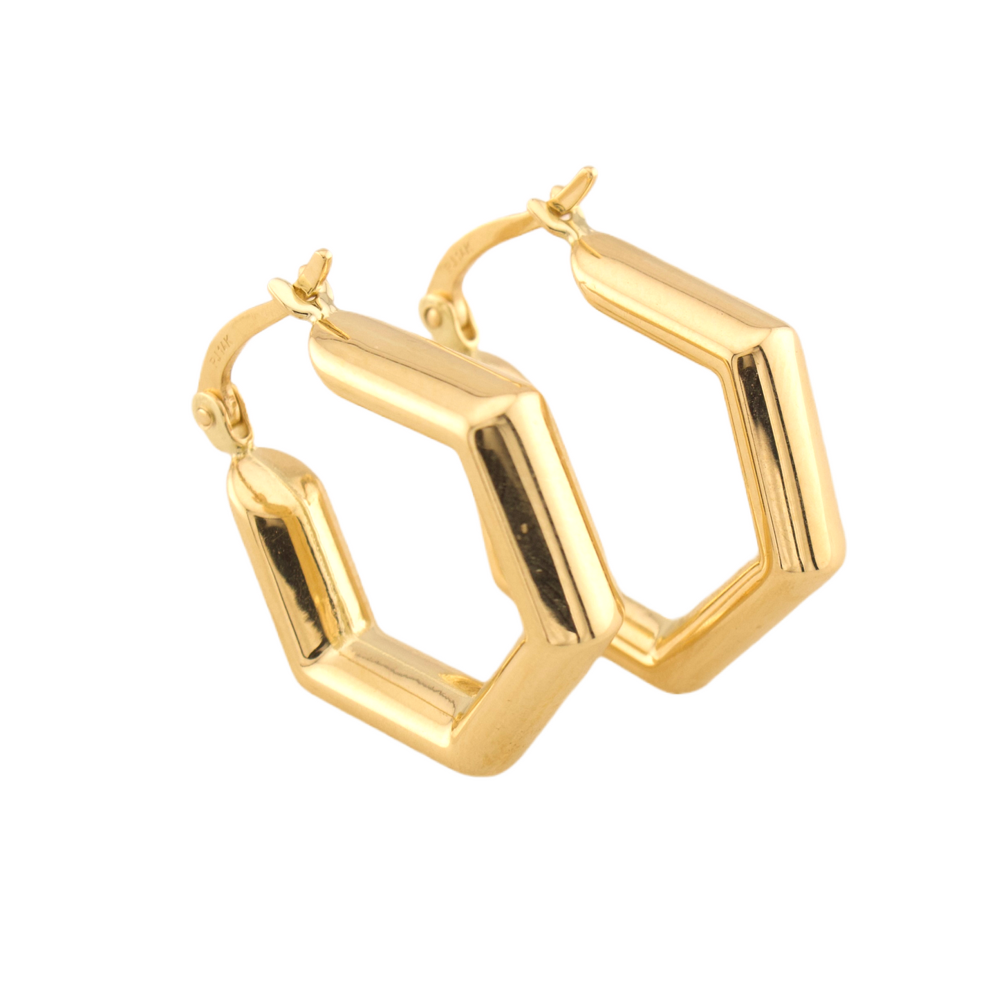 Fancy Hoops Earrings