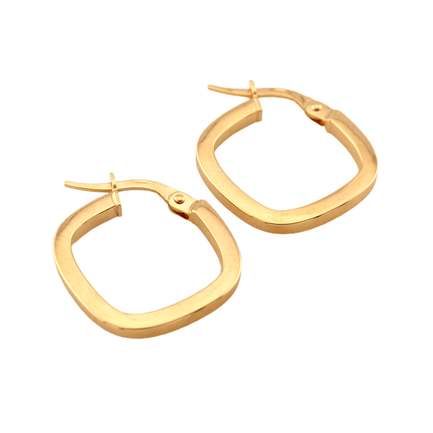 Fancy Hoops Earrings