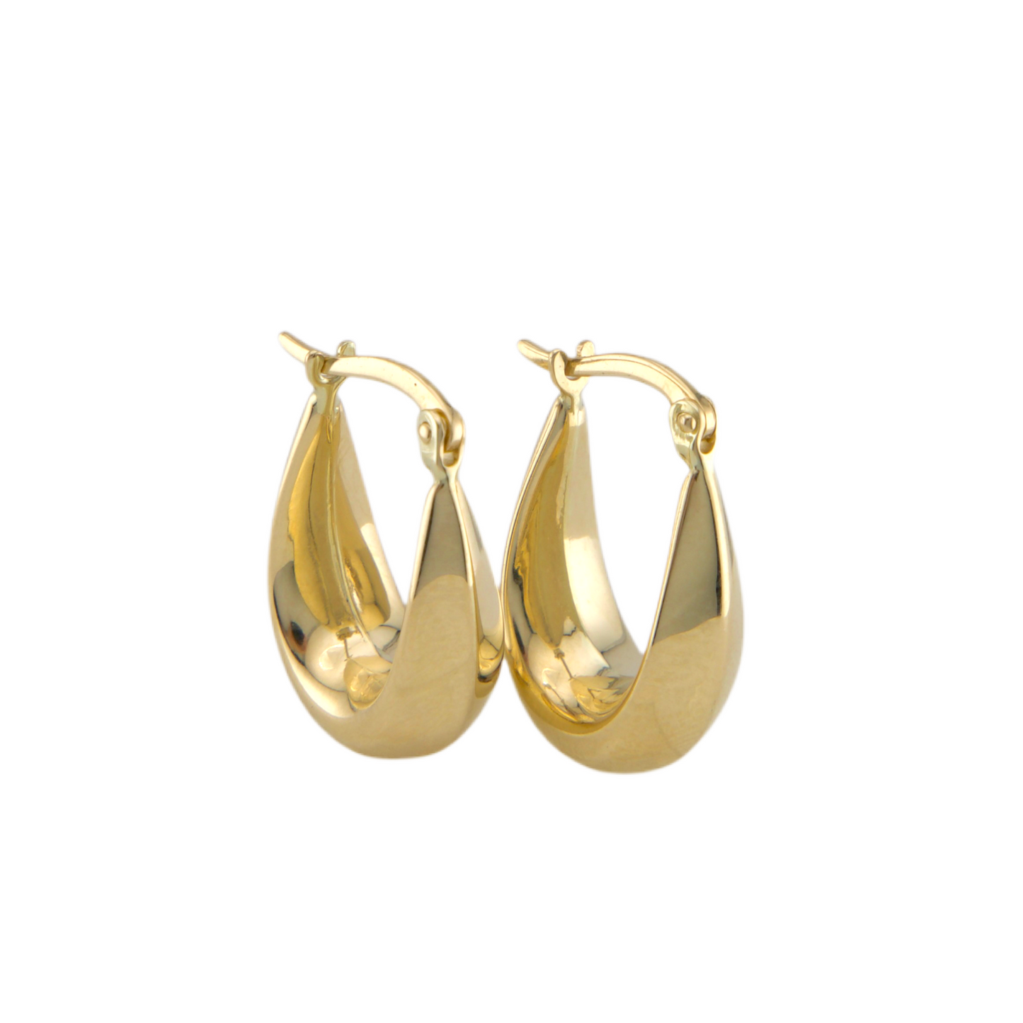 Fancy Hoops Earrings
