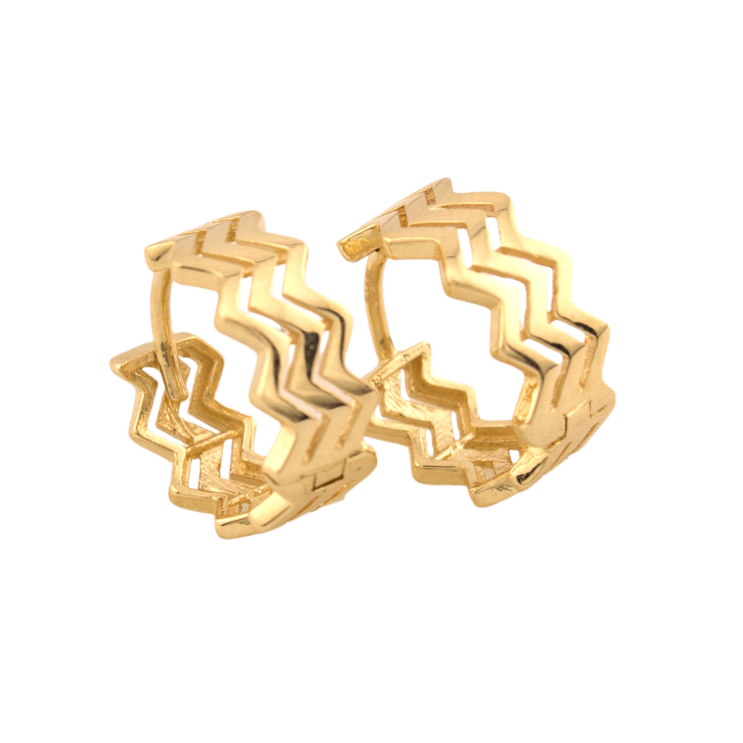Fancy Hoops Earrings