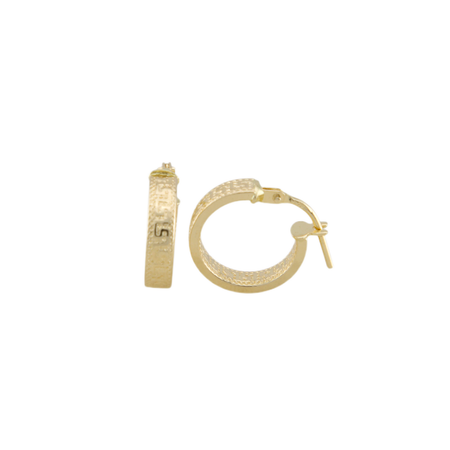 Fancy Hoops Earrings