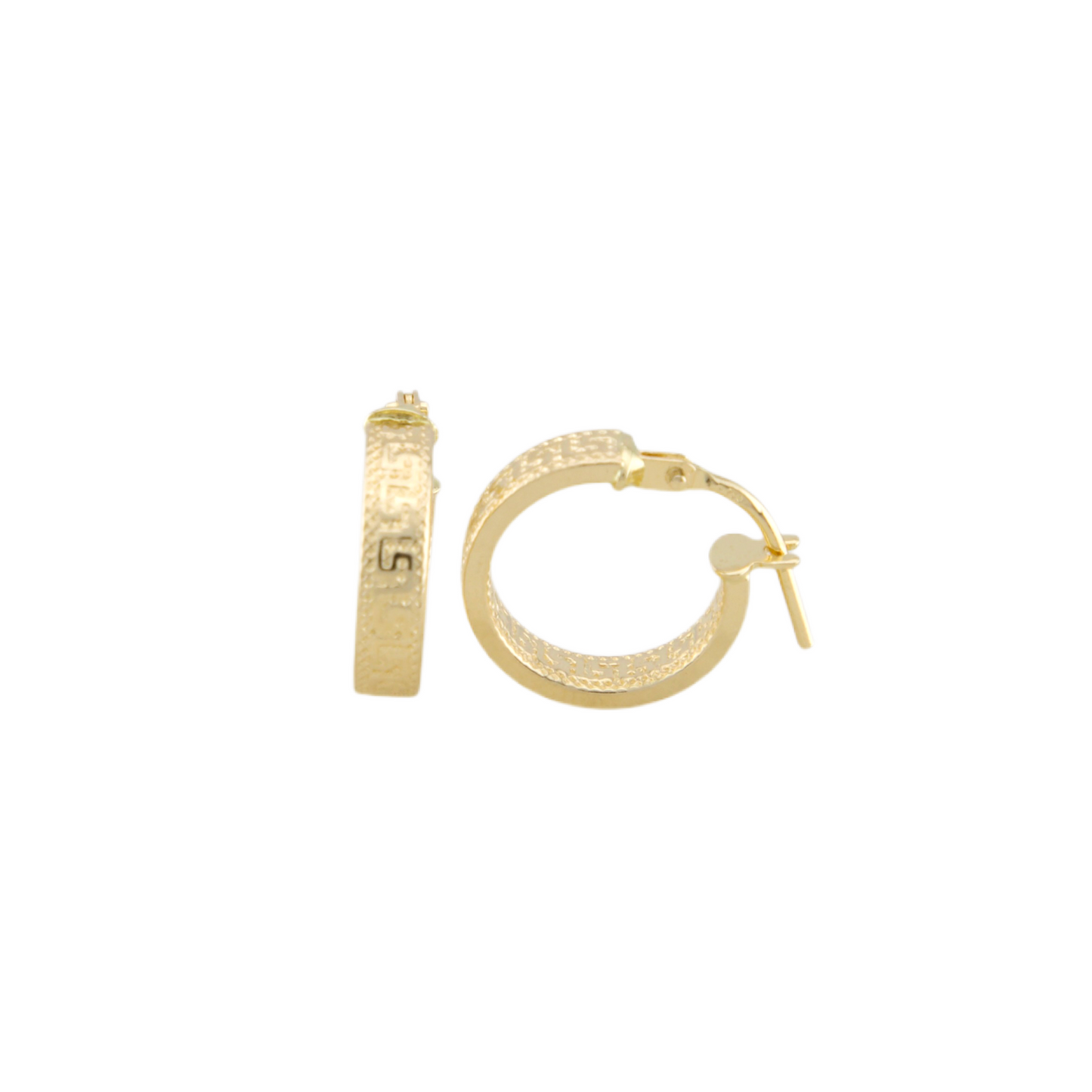 Fancy Hoops Earrings