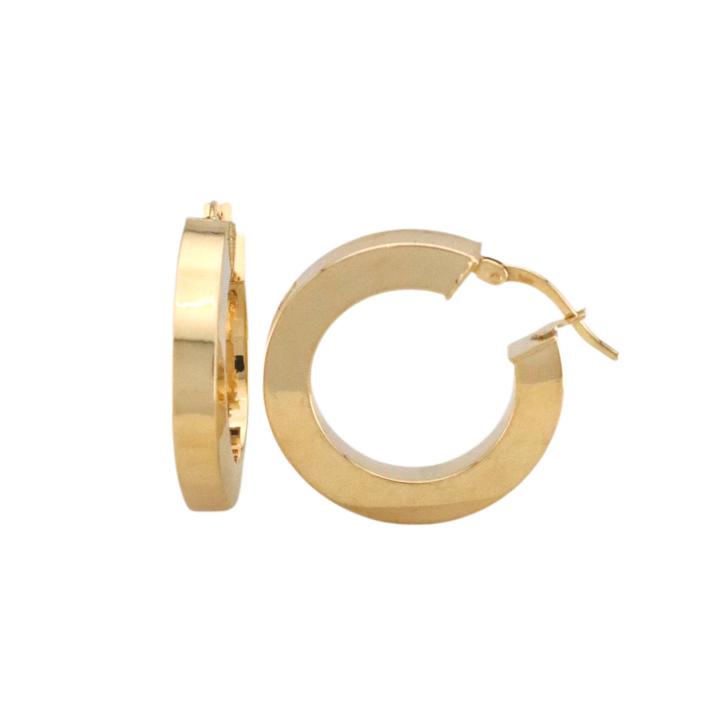 Plain Hoops Earrings