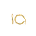 Plain Hoops Earrings