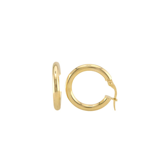 Plain Hoops Earrings