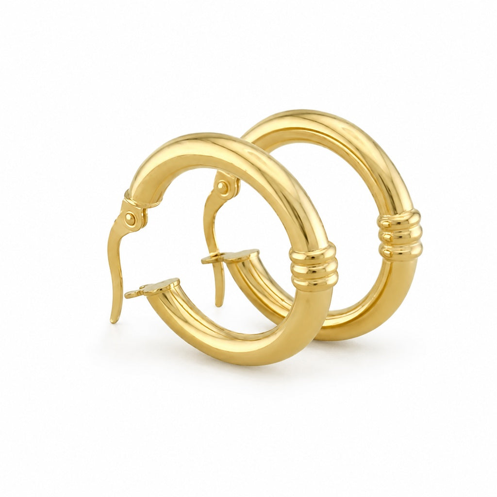 Fancy Hoops Earrings