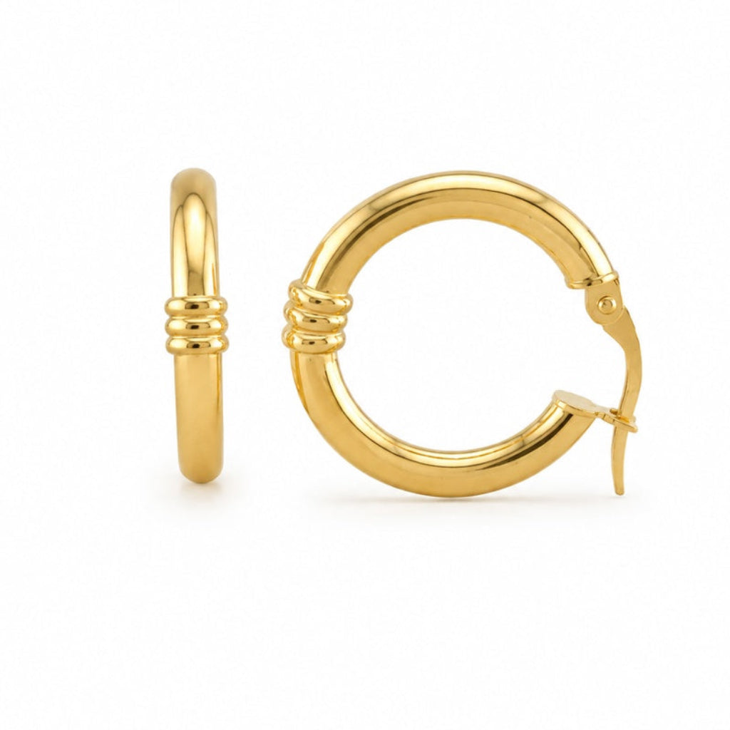Fancy Hoops Earrings
