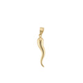 Large Gold Horn Pendant