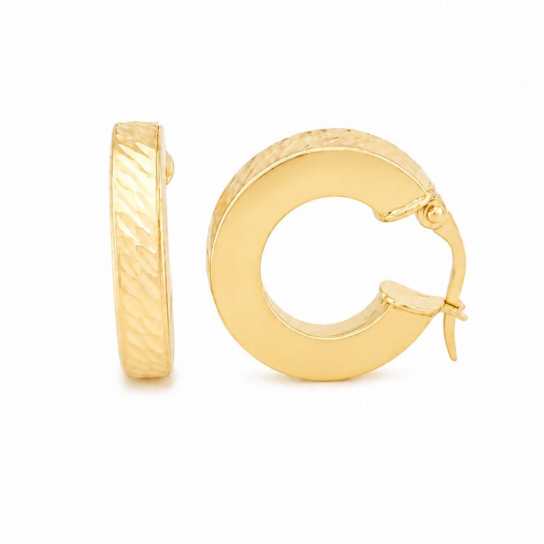 Fancy Hoops Earrings