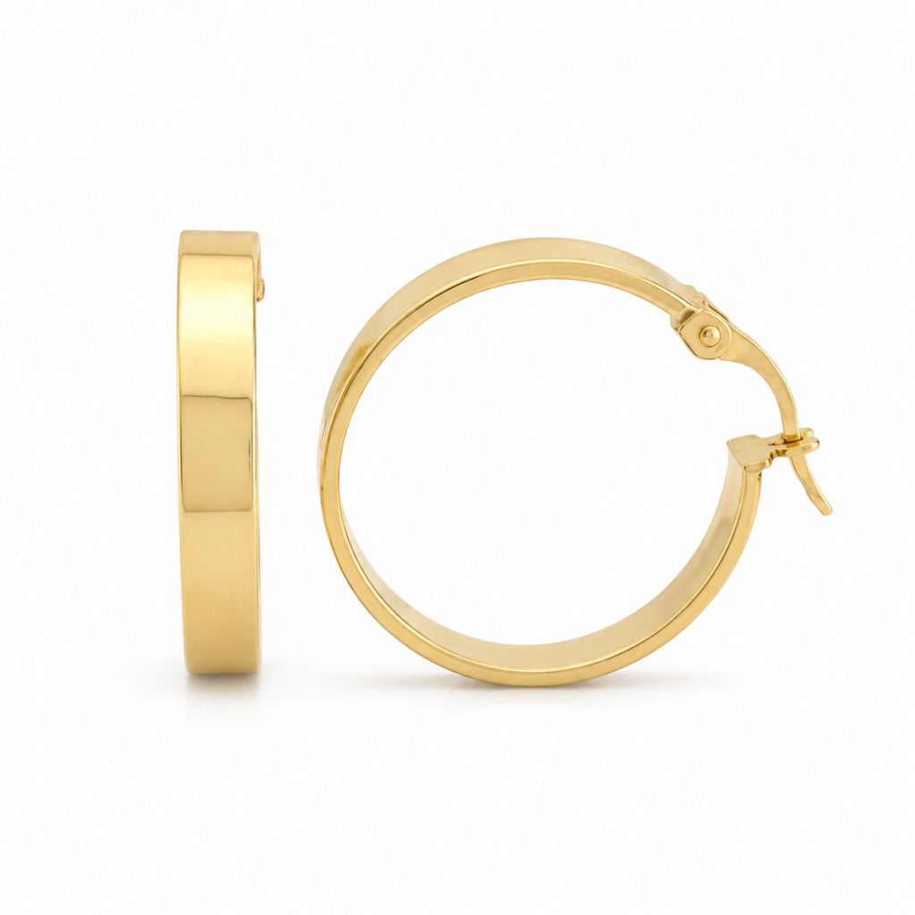 Plain Hoops Earrings