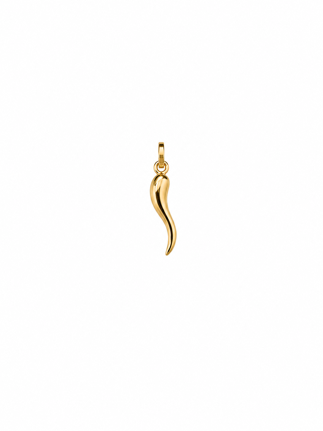 Gold Horn Pendant