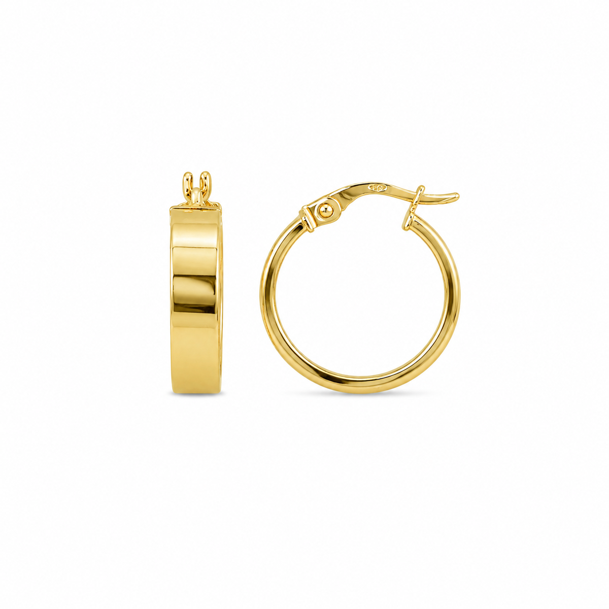 Plain Hoops Earrings