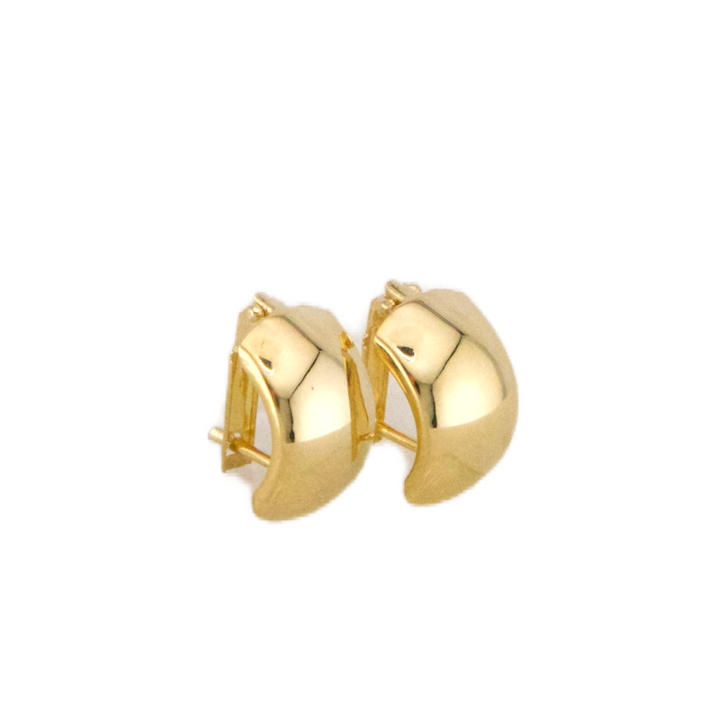 Fancy Stud Earrings