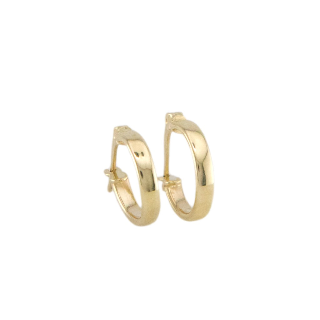Plain Hoops Earrings