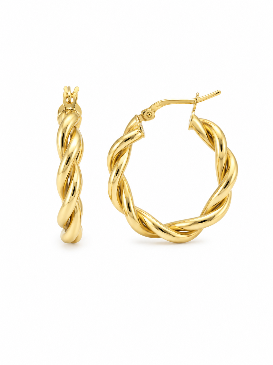 Twisted Hoops Earrings