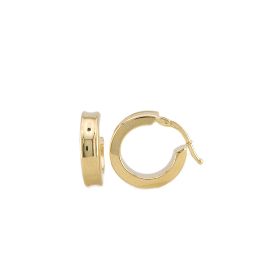 Plain Hoops Earrings