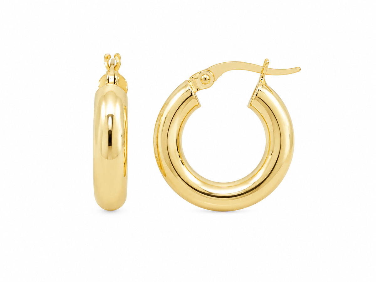 Plain Hoops Earrings