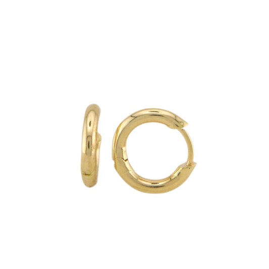 Plain Hoops Earrings
