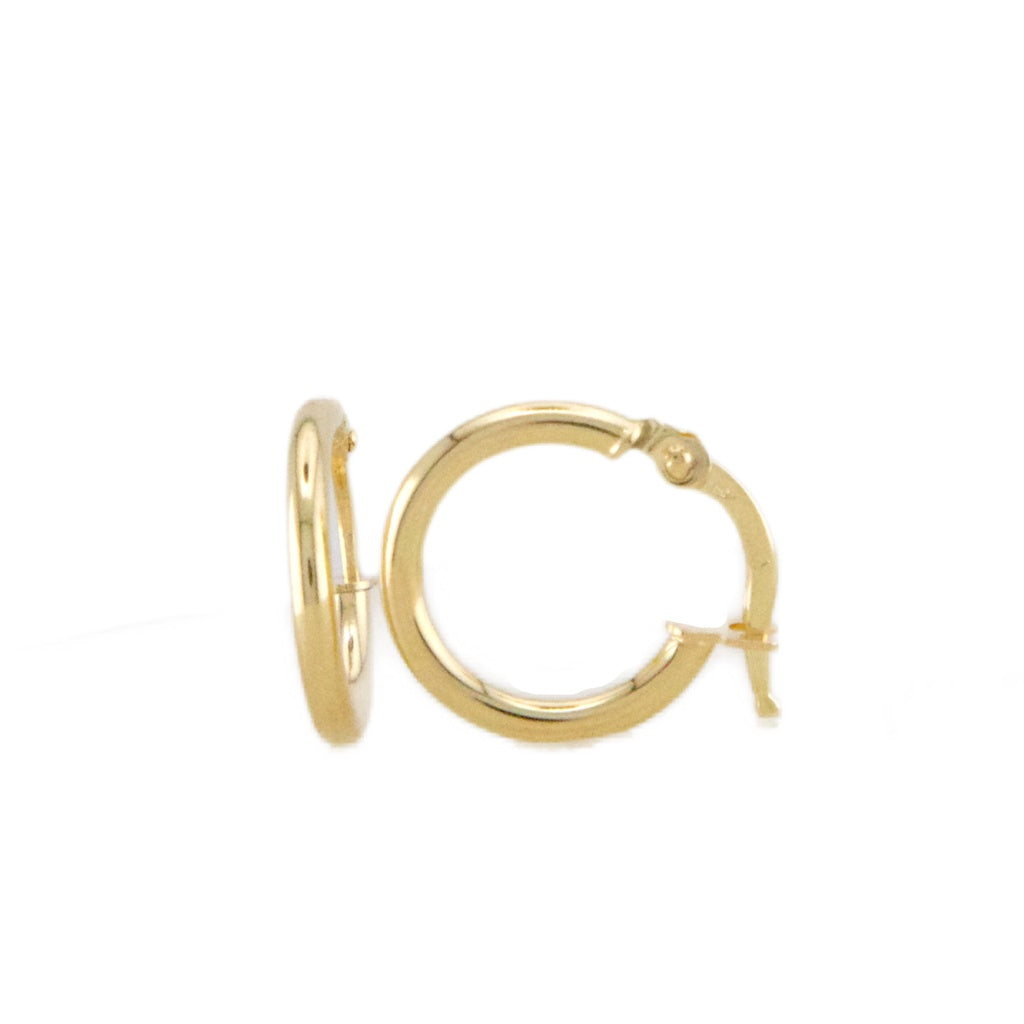 Plain Hoops Earrings