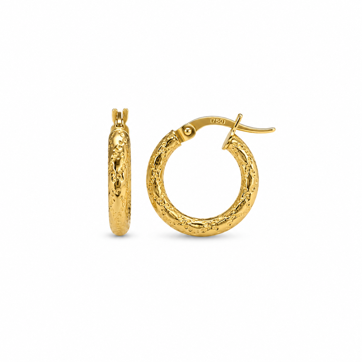 Fancy Hoops Earrings