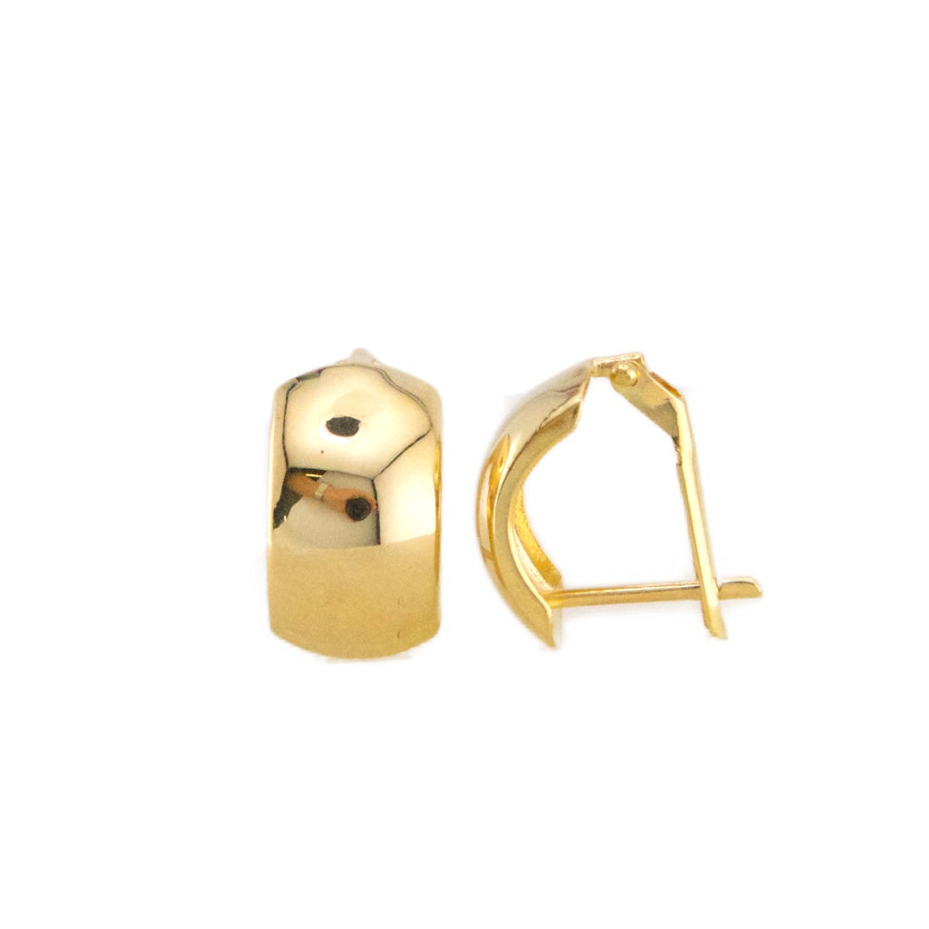 Fancy Stud Earrings