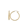Plain Hoops Earrings