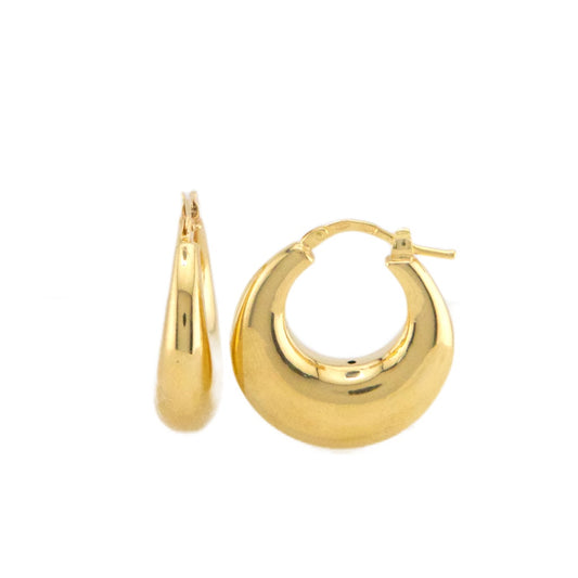 Fancy Hoops Earrings