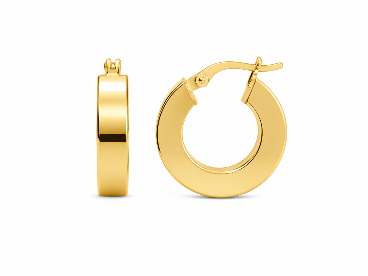 Plain Hoops Earrings