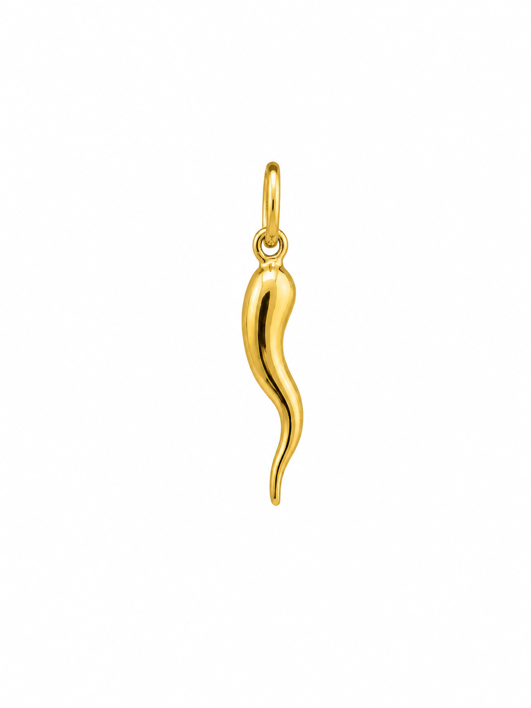 Gold Horn Pendant