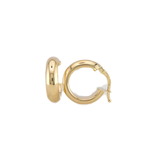 Plain Hoops Earrings