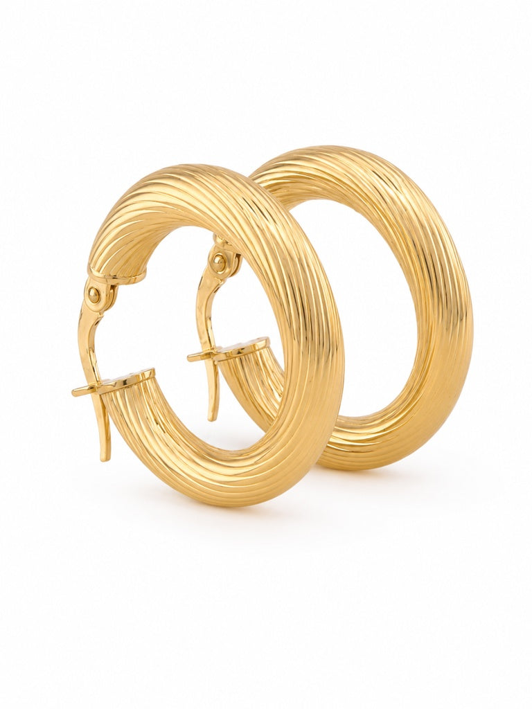 Fancy Hoops Earrings
